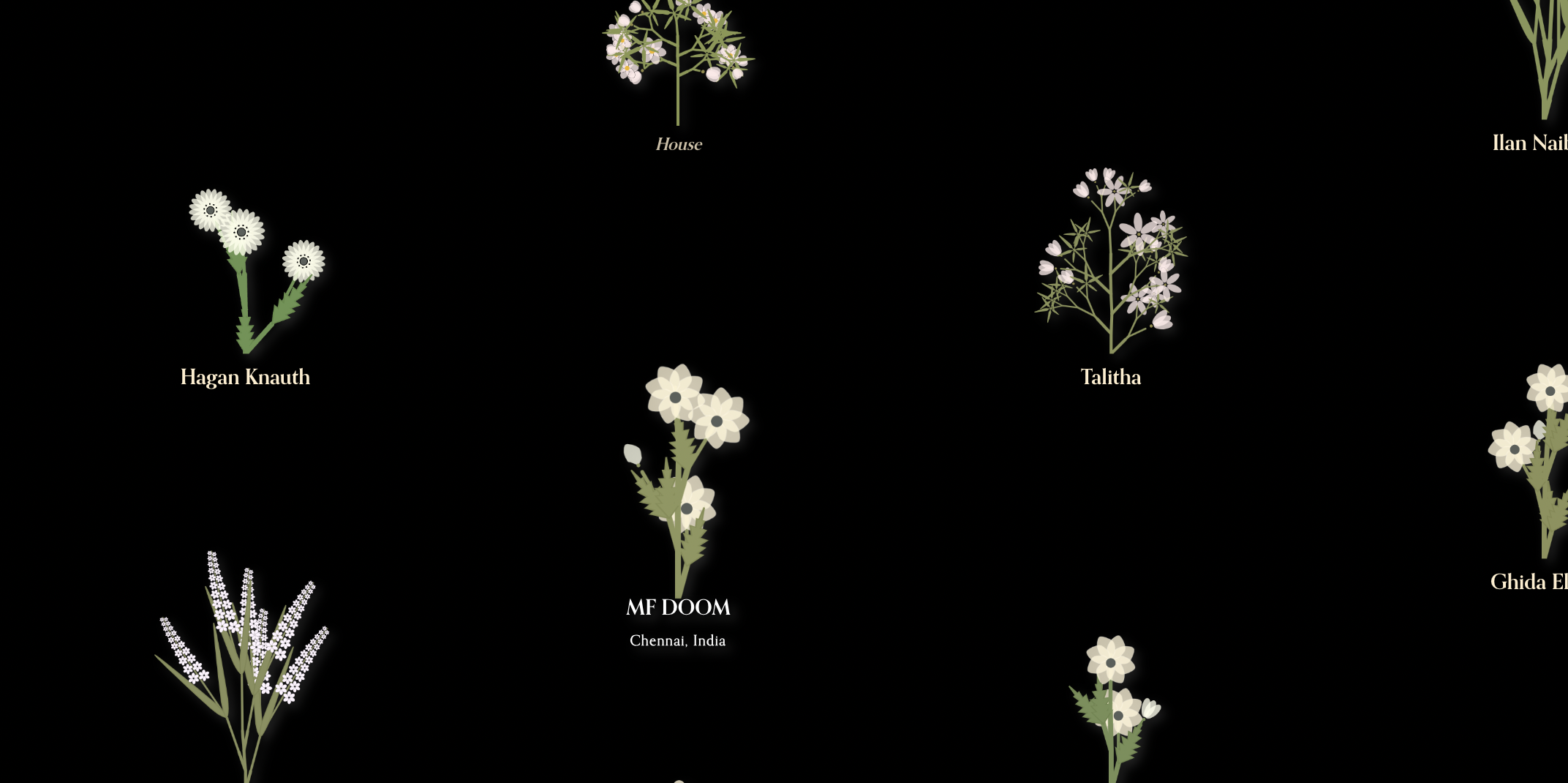 screenshot of cloud9 memorial site. A garden of unique flowers with names underneath each one.