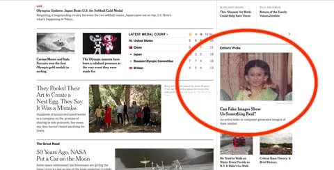 screenshot of my work in the New York times