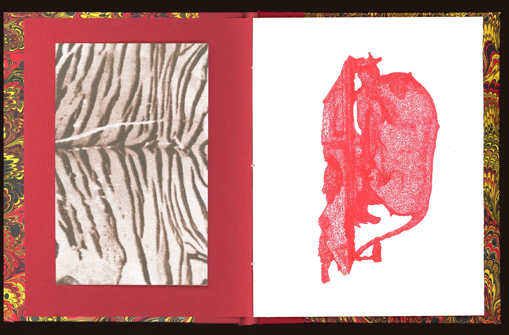 a flat scan of the inside cover of the book. Tiger stripes on the left, a 3d scan of a tiger statue on the right