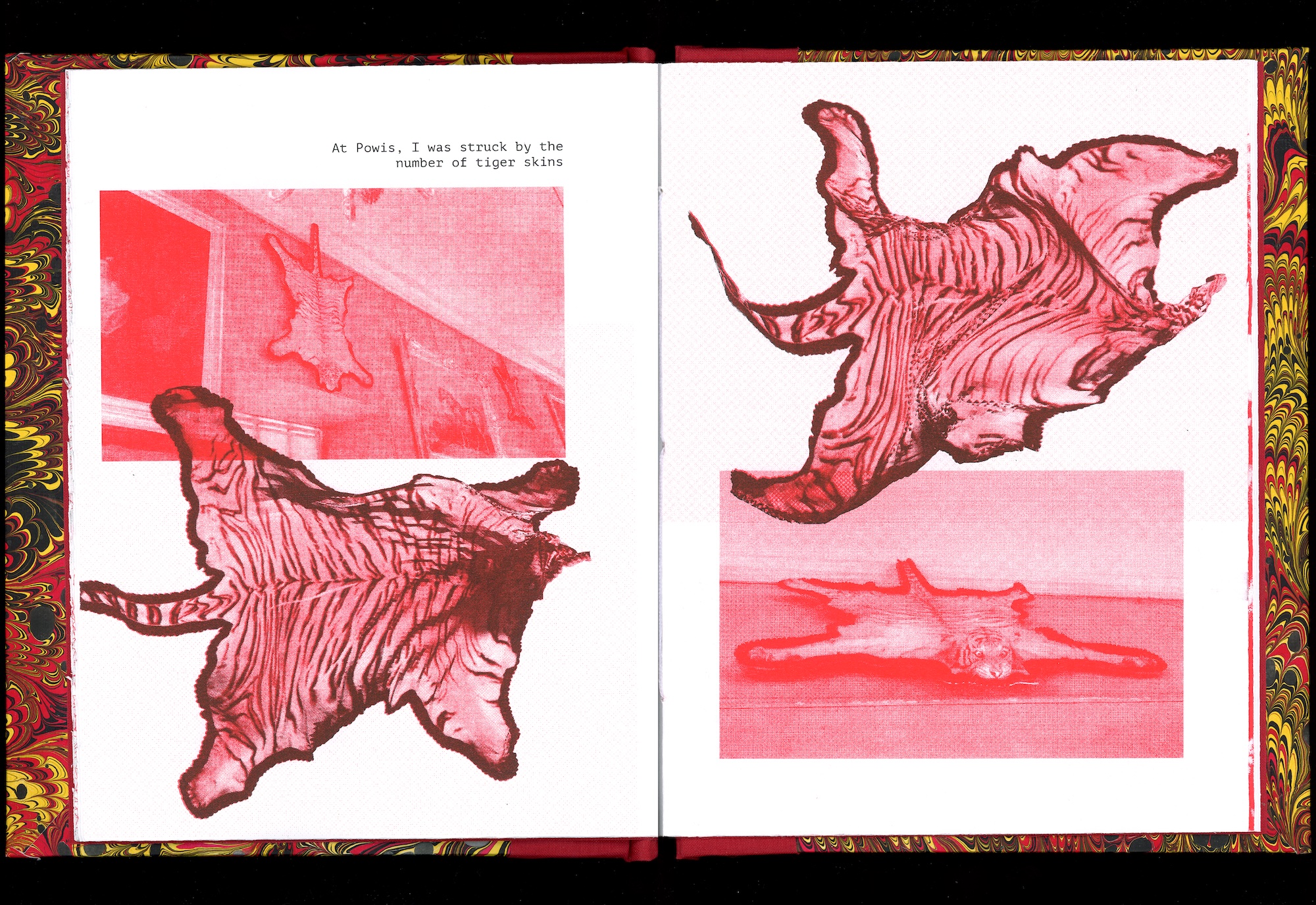 red photos of tiger skins from powis